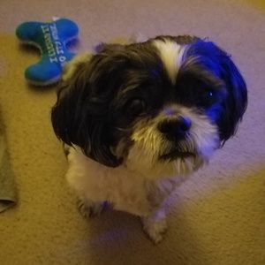 Meet your Posher, Dawn